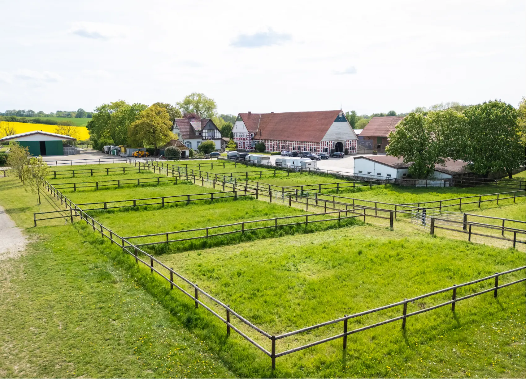 Weiden des Hofs im Morgenlicht